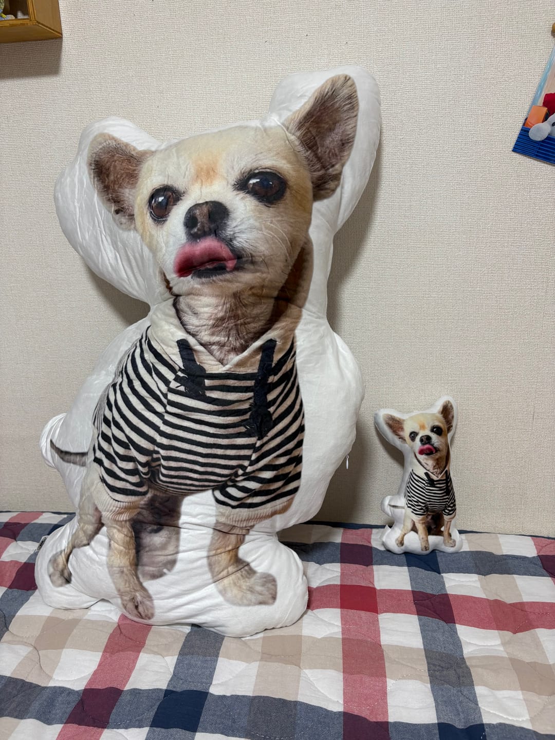 Customer photo review of 世界にひとつだけ♪好きな写真で作るオーダーメイドクッション（20～80cm）