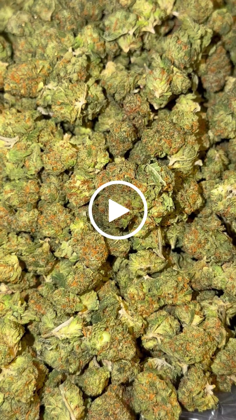 Customer video review of Cheetah Piss THCa Smalls (Wholesale)