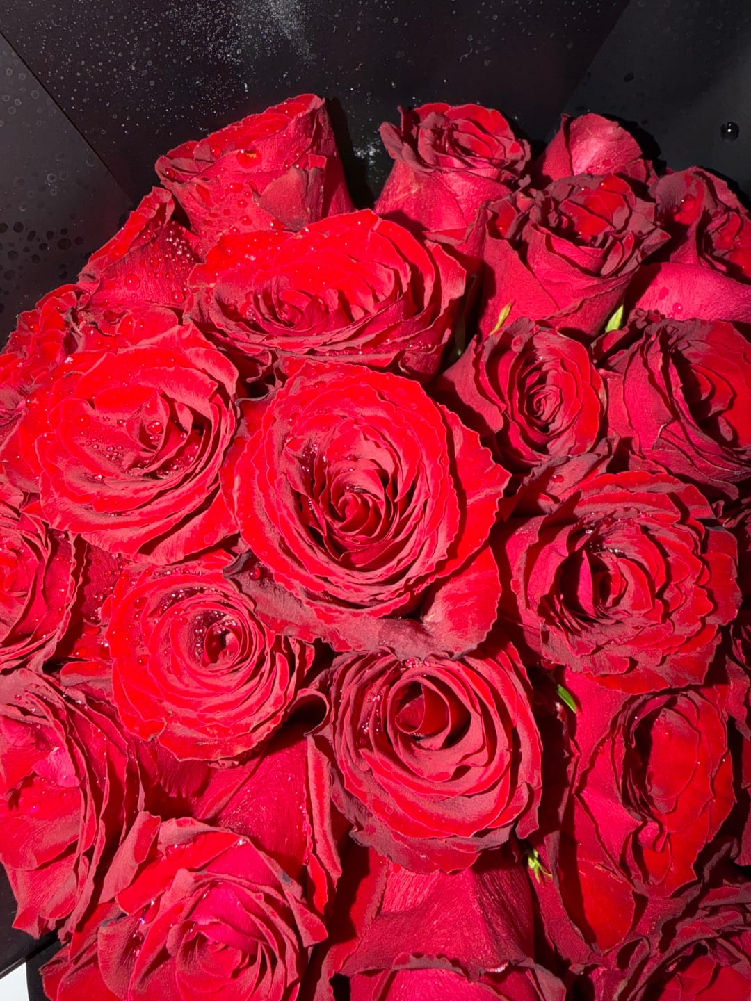 Customer photo review of 25 Red Roses with Black Wrapping