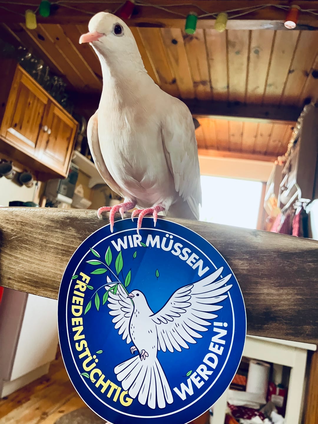 Customer photo review of STICKER / AUFKLEBER • WERBEN FÜRS STERBEN (10 STK.)