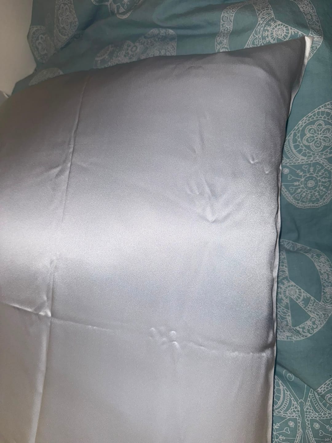 Customer photo review of ציפית משי 22Momme - בז׳