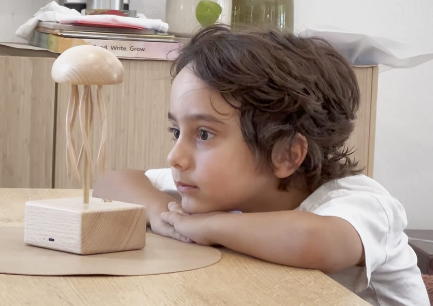 Customer photo review of MarinerPoet Handcrafted Wooden Jellyfish Automaton