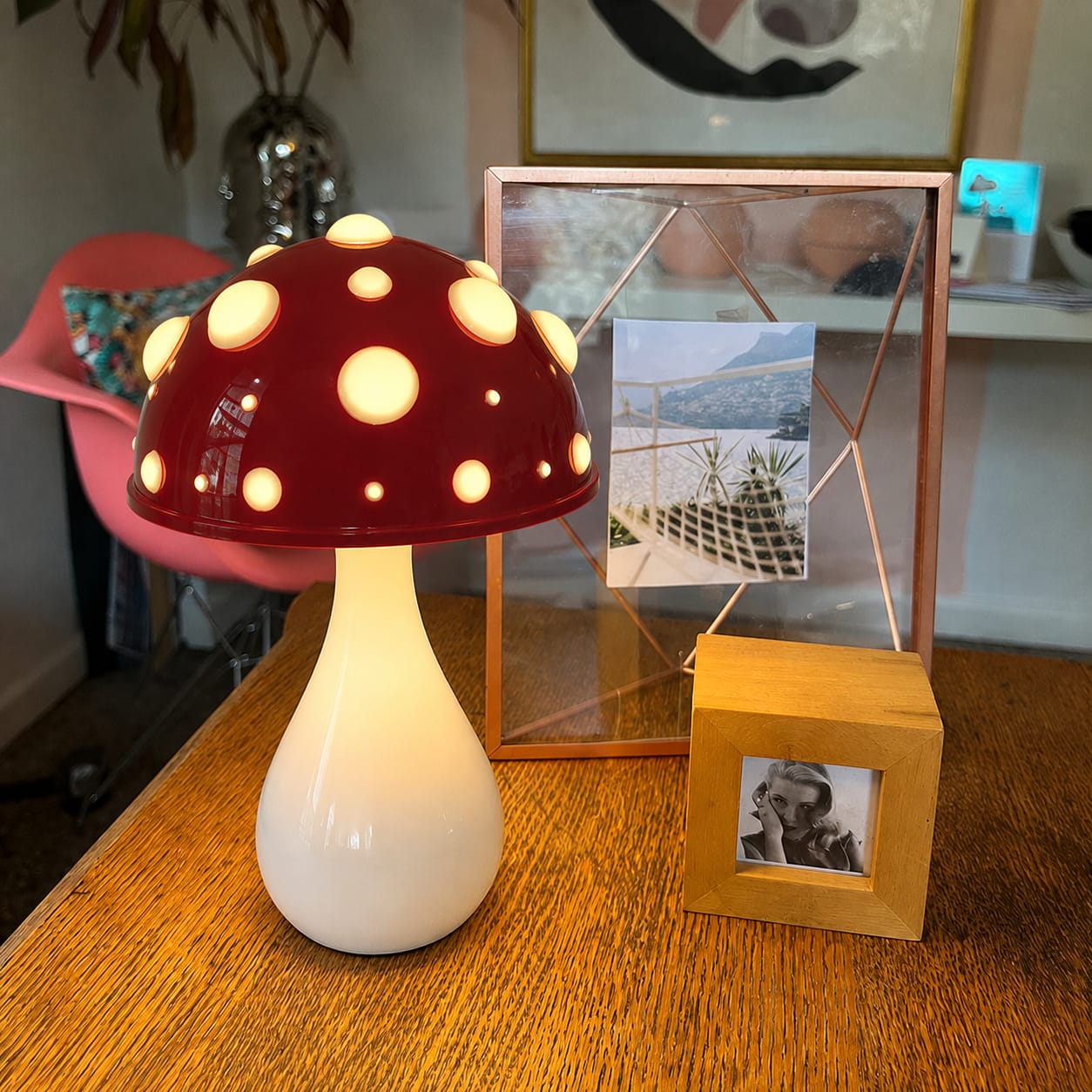 Customer photo review of Designer Mushroom Table Lamp