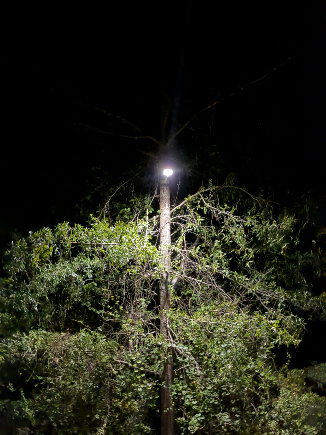 Customer photo review of 60W Solar Street Light 6000 Lumens