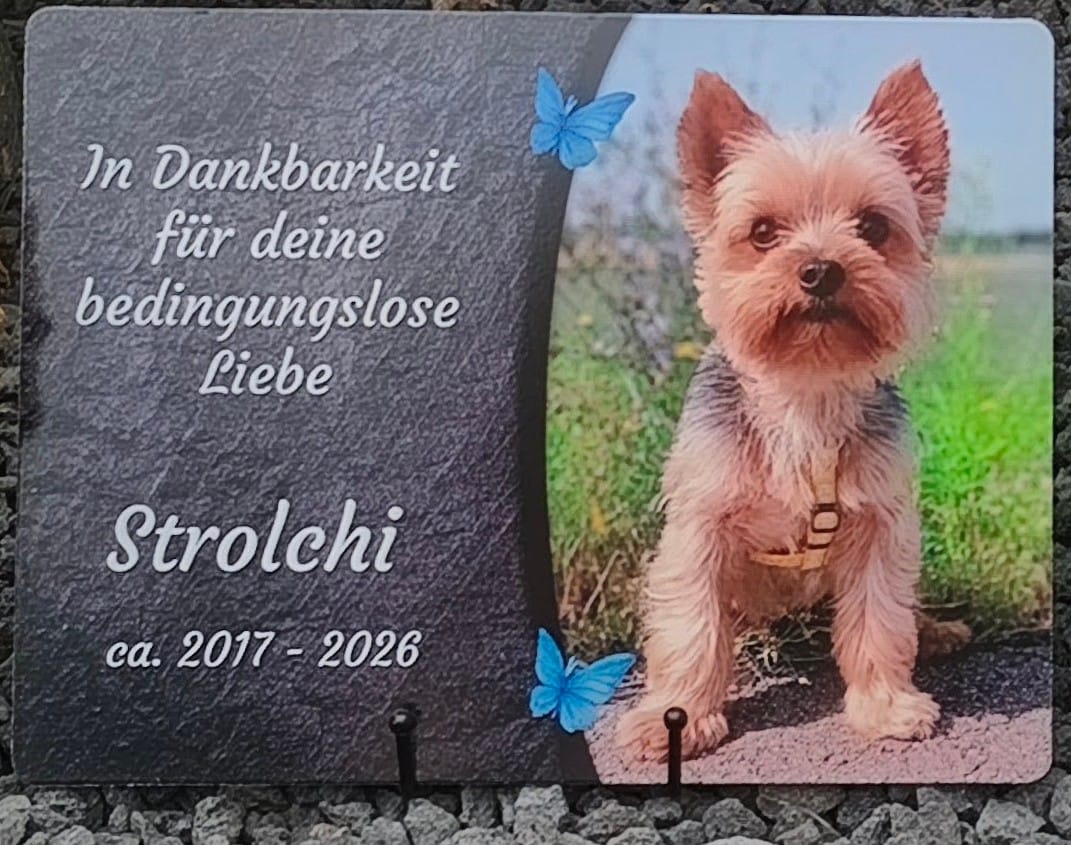 Customer photo review of Hunde Gedenktafel mit Foto & Spruch (UV- &  Wetterfest)