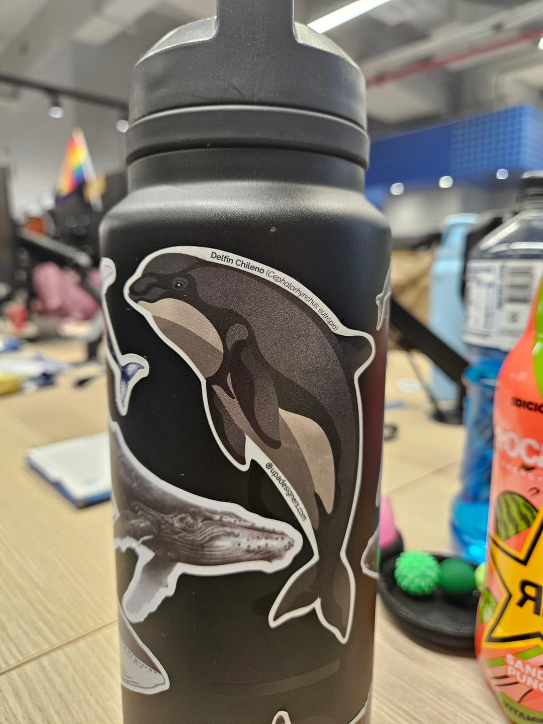 Customer photo review of Sticker de Delfín Chileno