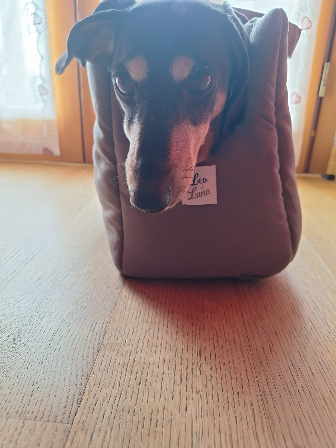 Customer photo review of Borsa Tessuto Dralon Marrone