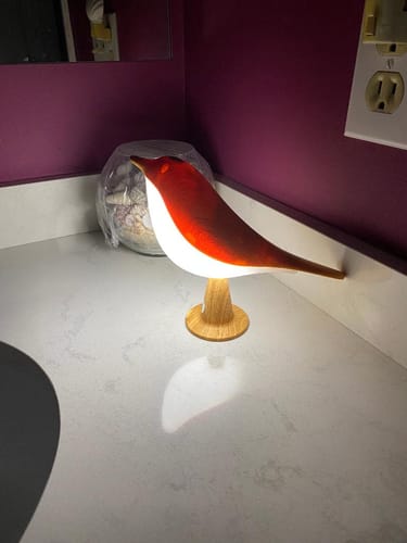 Customer's Glow Bird lamp glowing with a red back, placed on a bathroom counter.