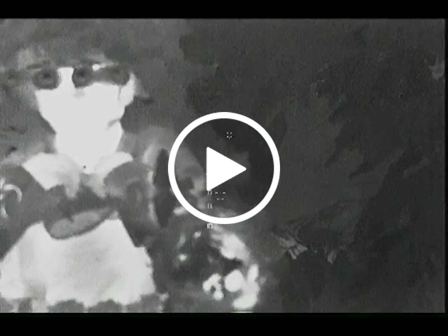 Customer video review of Predator Ghillie™ SPECTRALFLAGE VEIL