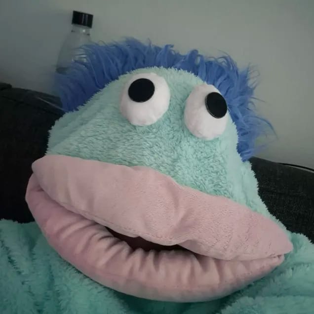 Customer photo review of MonsterNap™ – Pijama Monstruo Bocón de Una Pieza | Viral en TikTok | Adultos y Niños