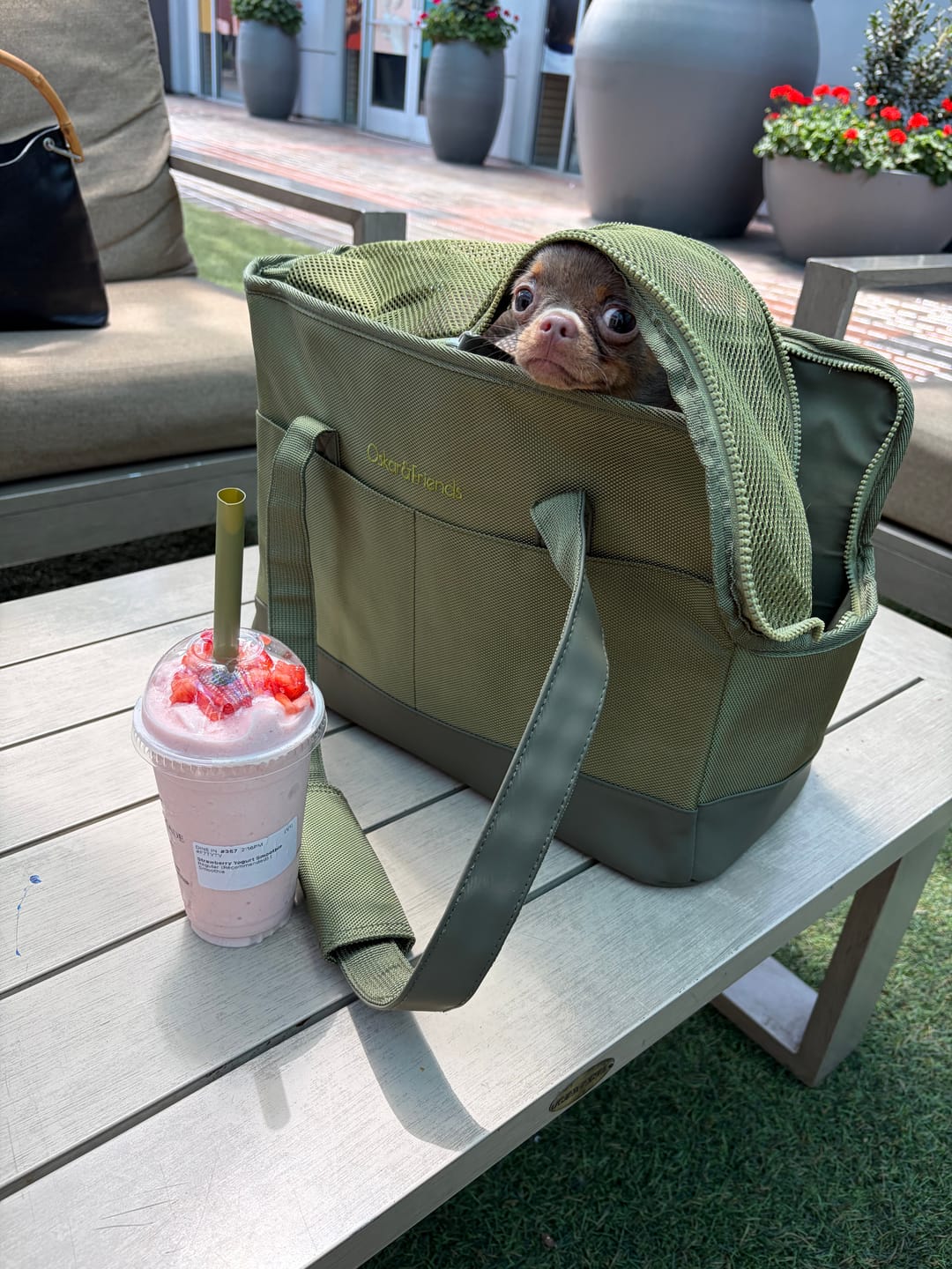Customer photo review of Olive Green Pet Tote Bag