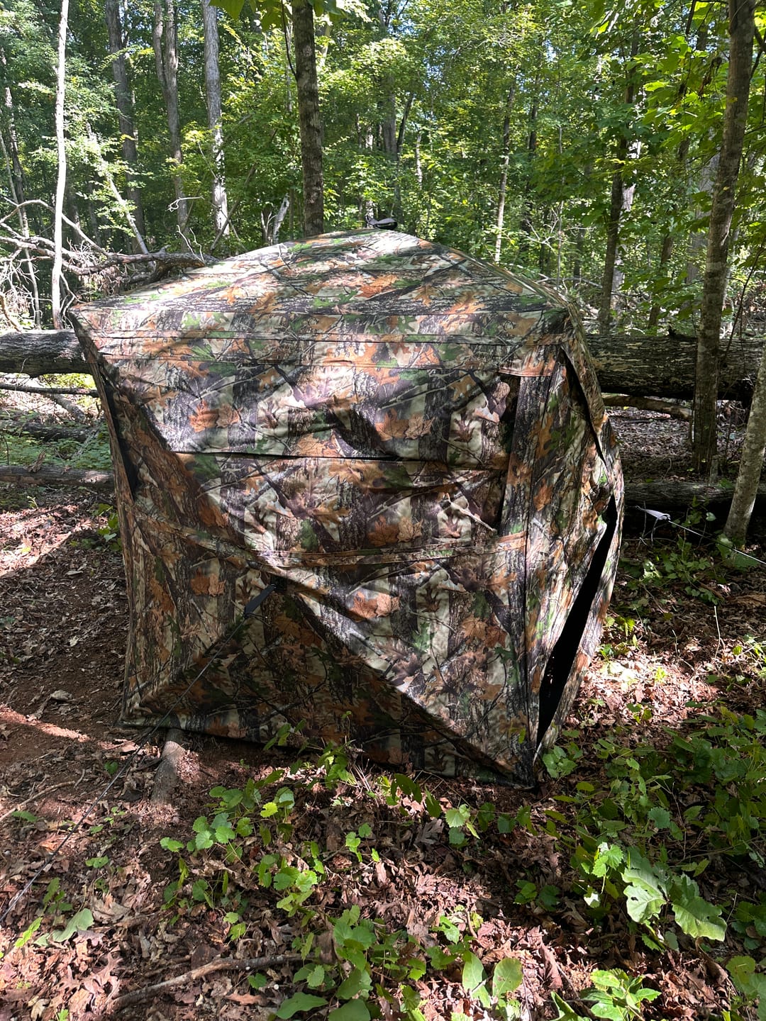 Customer photo review of FLASH SALE VisST See-Through Pop-Up Ground Blinds with Silent Magnetic Door