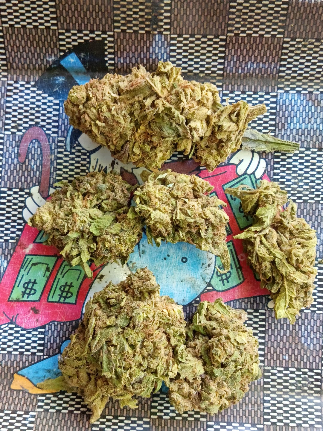 Customer photo review of Candy Gas Light Assist THCA