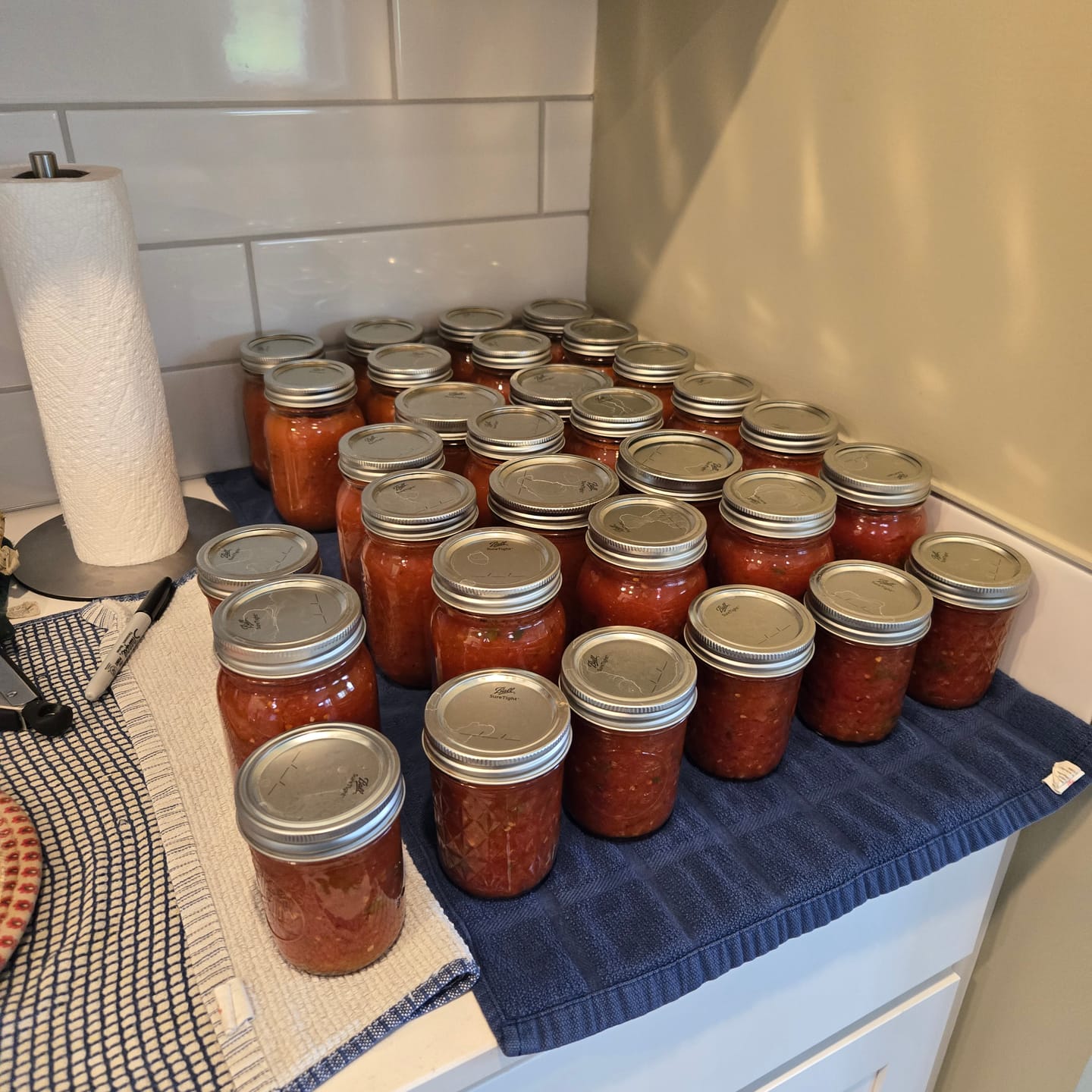 Customer photo review of Red Canning Tomatoes 1/2 BU