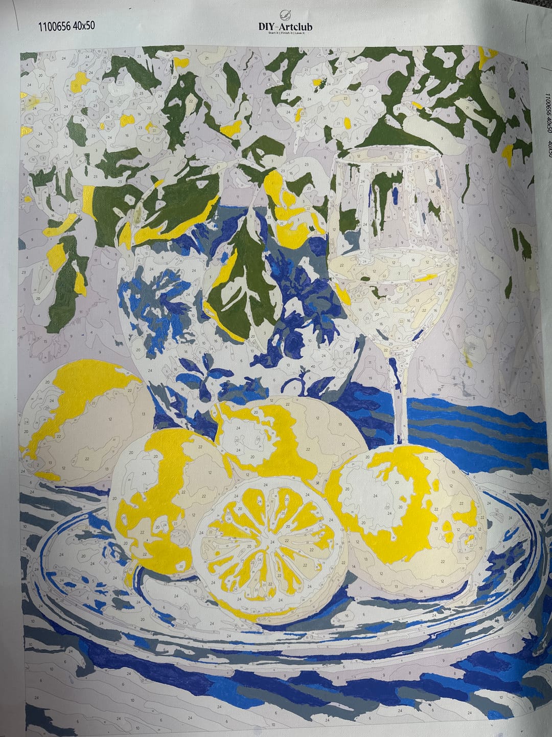 Customer photo review of Lemons and Wine | Paint by Numbers