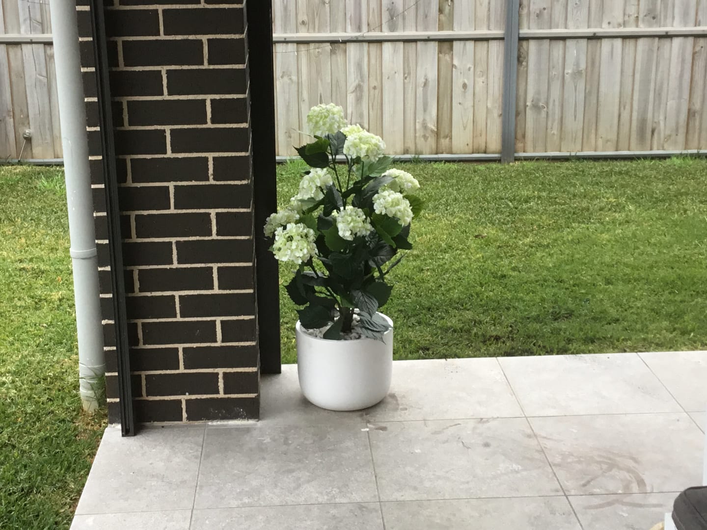 Customer photo review of Artificial White Hydrangea Tree 90cm - UV Resistant Flowering Plant