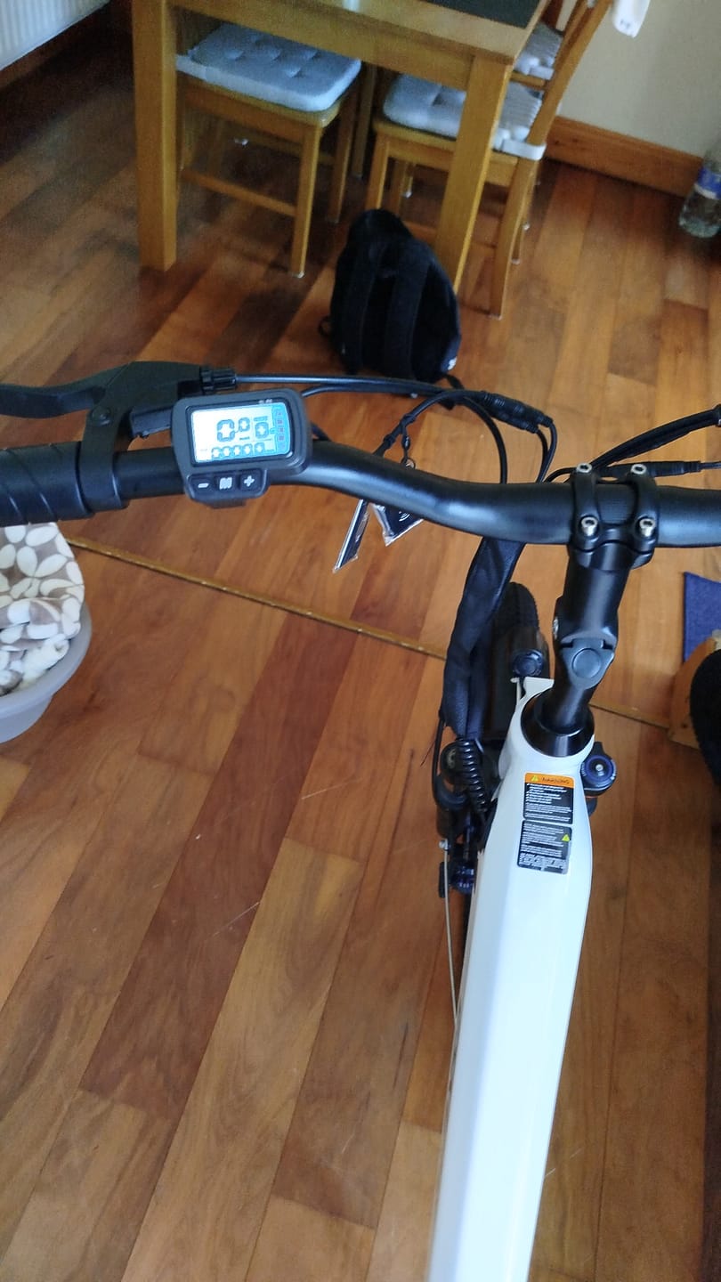 Customer photo review of Eskute C202 City E-Bike
