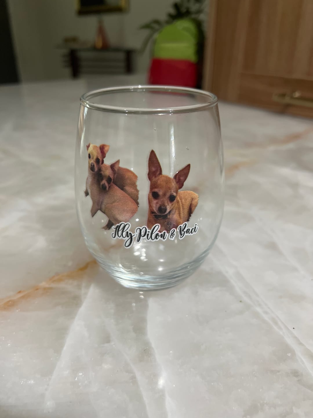 Customer photo review of Pet Portrait - Personalized Wine Glass