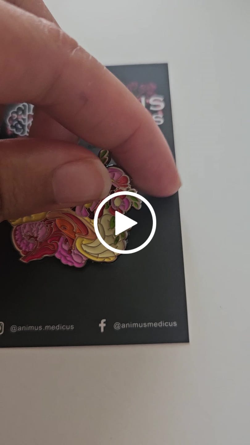 Customer video review of Gehirn Anatomie Pin