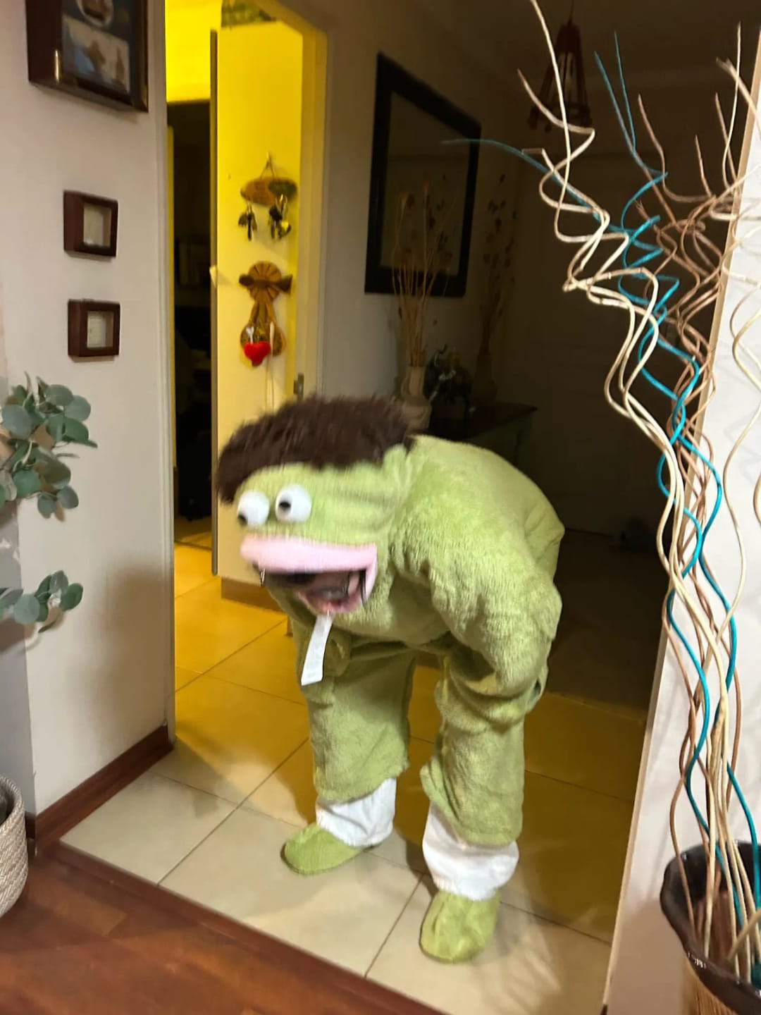 Customer photo review of MonsterNap™ – Pijama Monstruo Bocón de Una Pieza | Viral en TikTok | Adultos y Niños