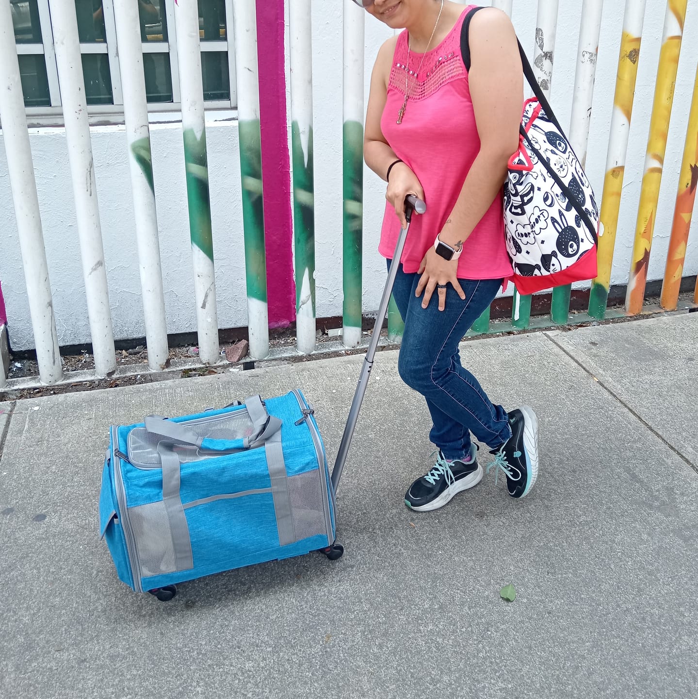 Customer photo review of CT1811 1 Pieza de Carrito Transportador Con Llantas Mascota Perro Gato