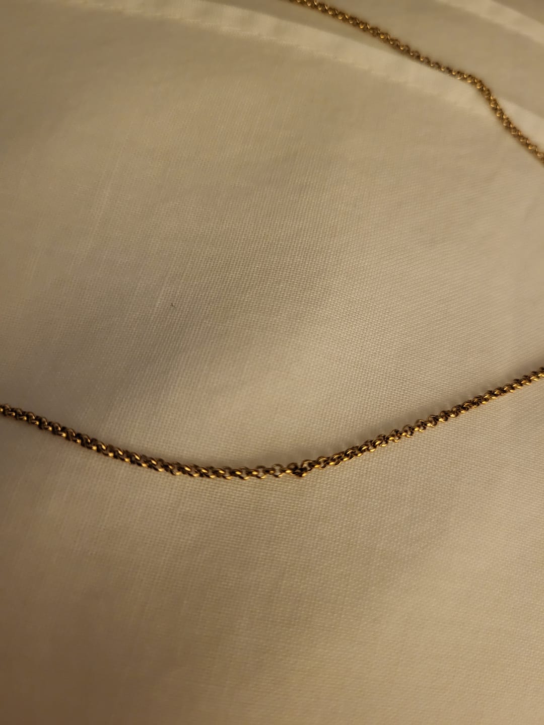 Customer photo review of Zodiac Necklace
