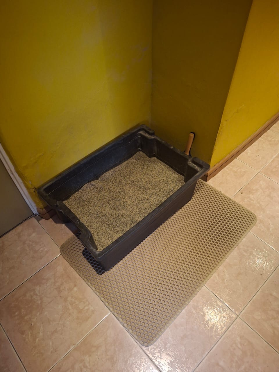 Customer photo review of Arena Minino 48kg - Carbón Activo
