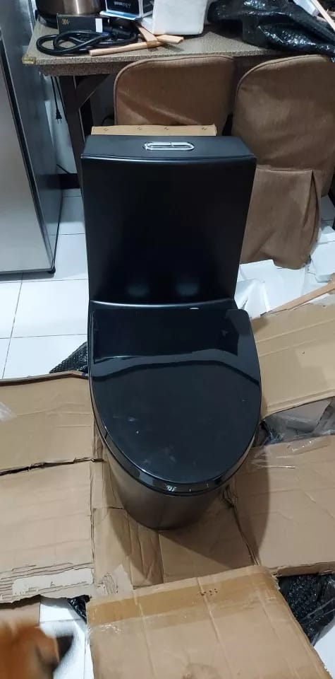 Customer photo review of Gota – Black Modern One-Piece Toilet with Dual Flush & Soft-Close Seat