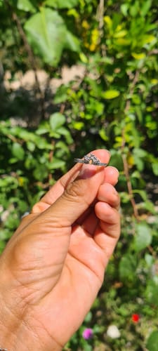 Customer photo review of Anillo Tiana