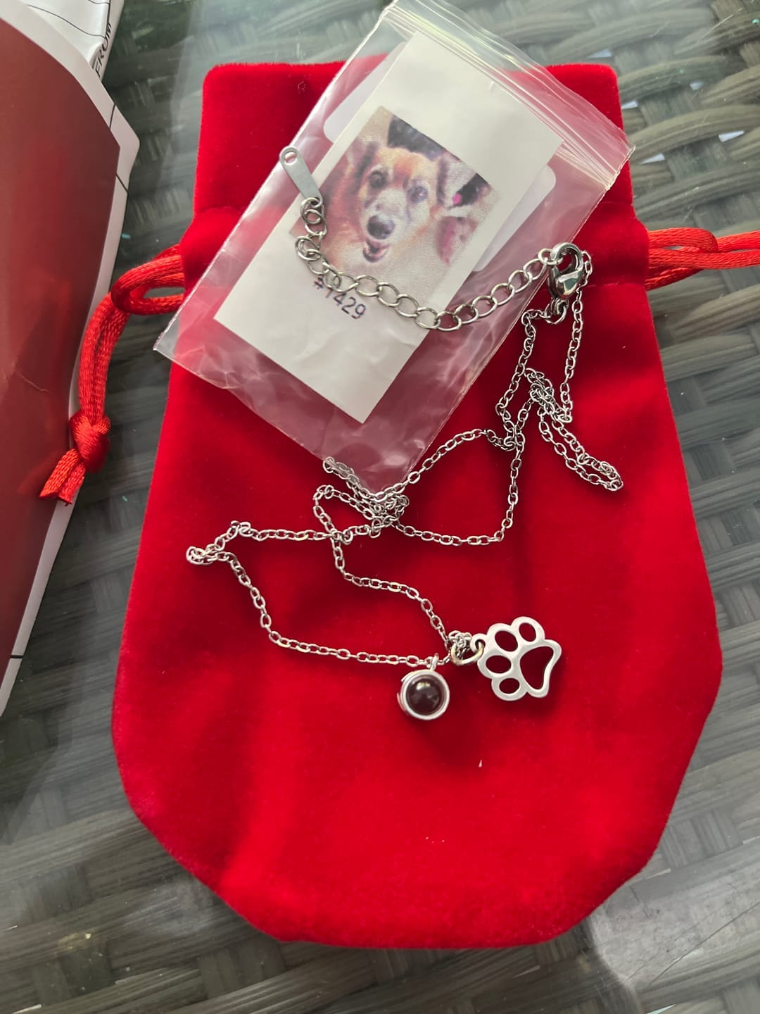 Customer photo review of Colar de Projeção Forever Paw