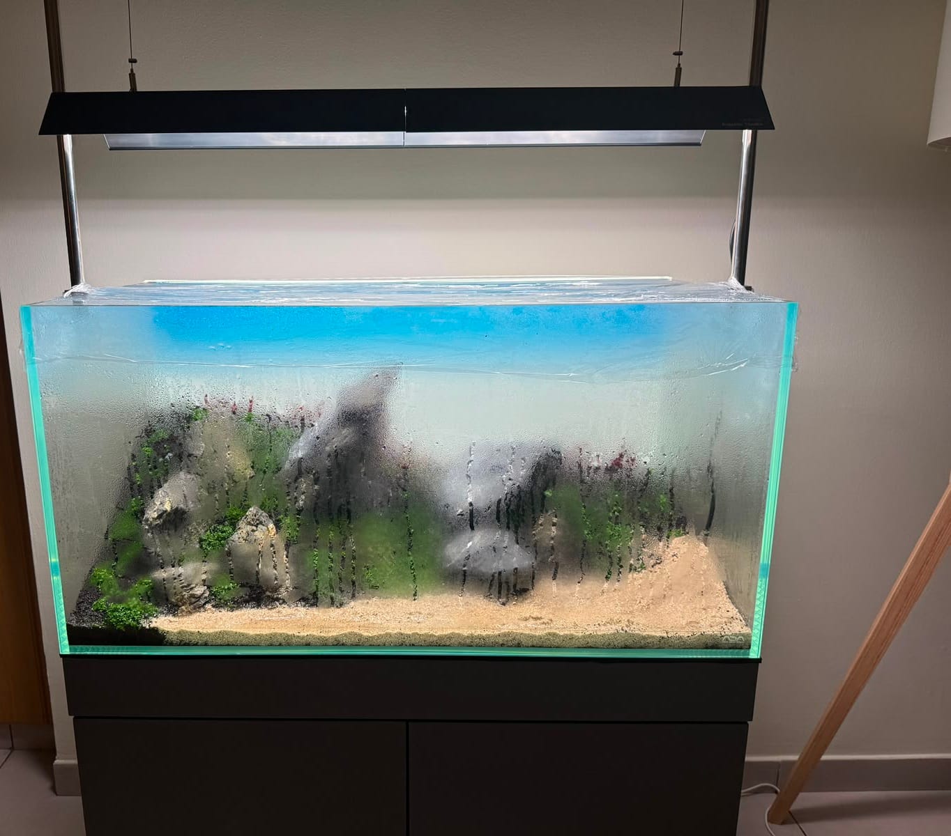Customer photo review of Chihiros WRGB II Pro LED Light