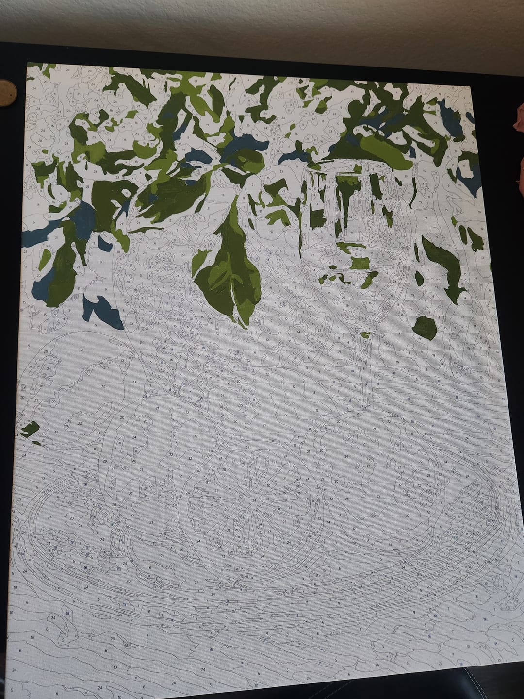 Customer photo review of PAINT BY NUMBERS | LEMONS AND WINE