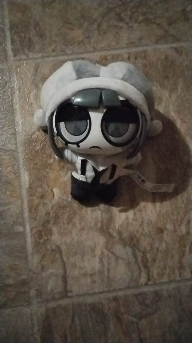 Customer photo review of Pomni Pendantz Blindbox