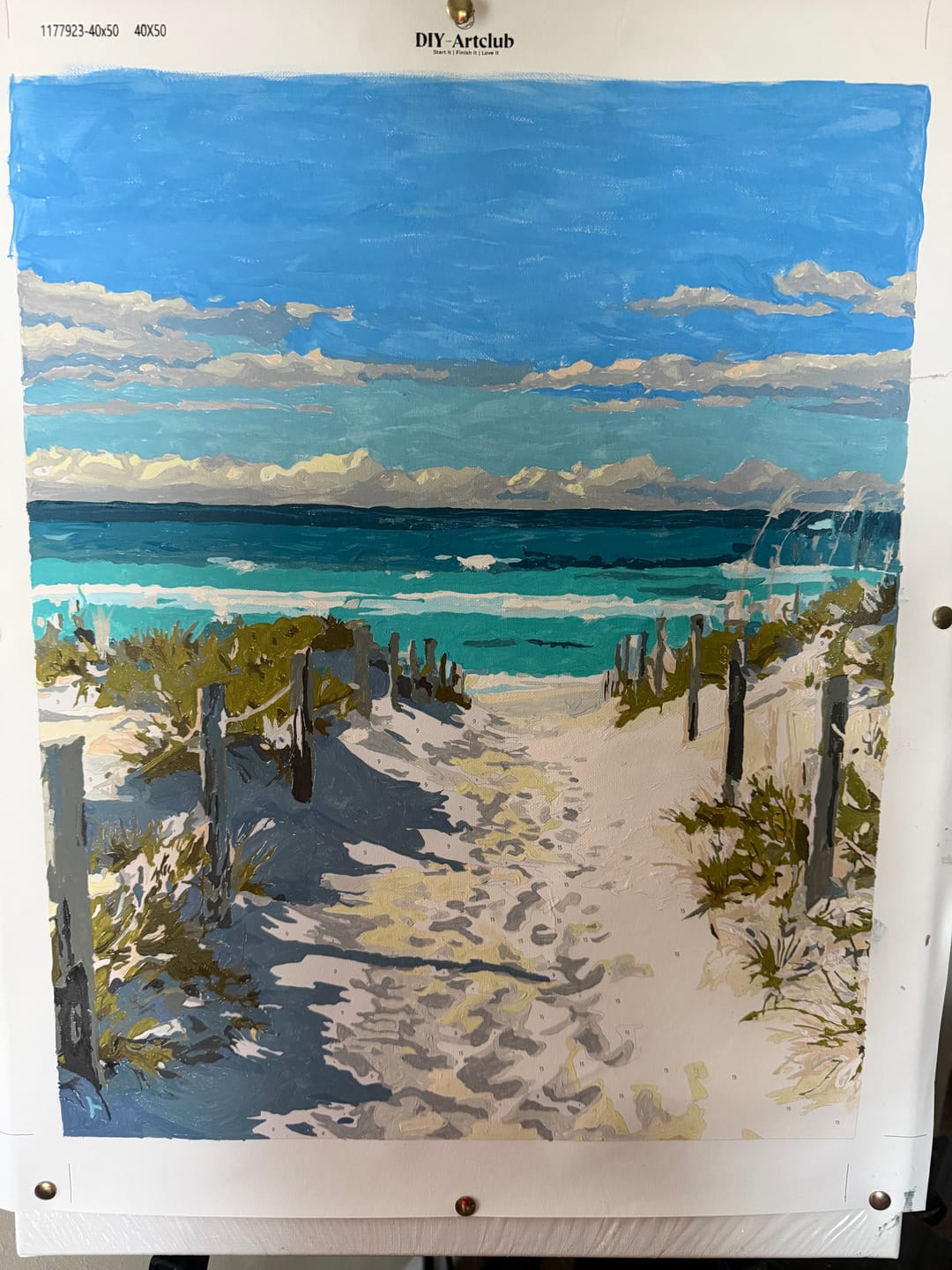 Customer photo review of Beach Path | Paint by Number