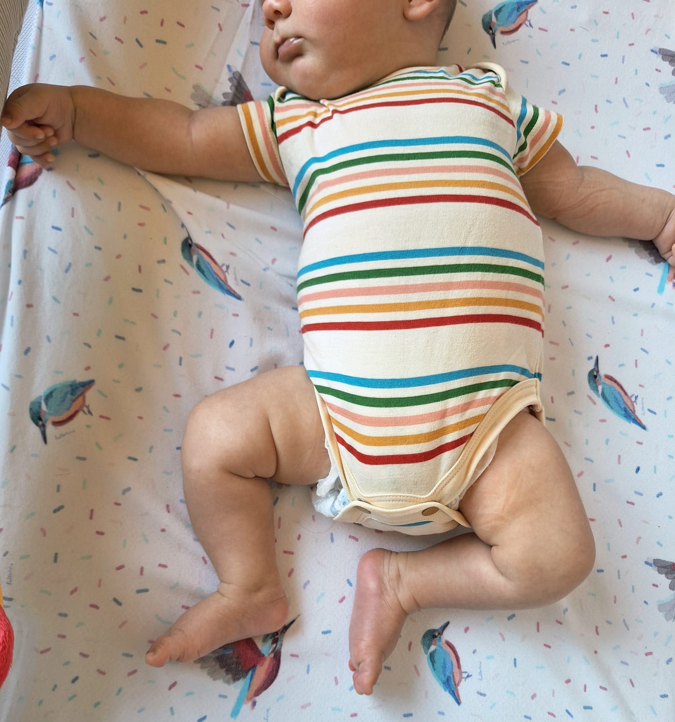 Customer photo review of Vintage Rainbows Organic Baby Bodysuit 2 Pack