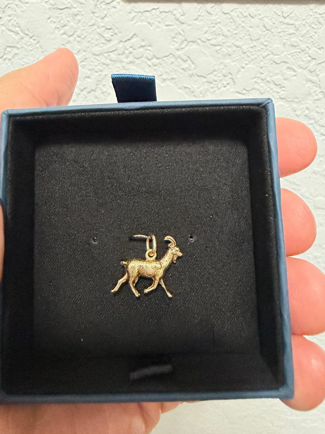 Customer photo review of Vintage 14k Yellow Gold Dimensional Figural Goat Charm / Pendant