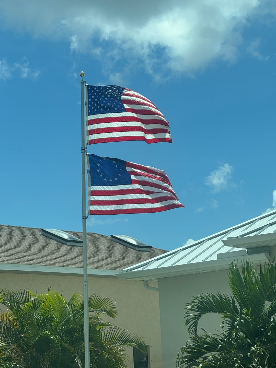 Customer photo review of 3' x 5' Betsy Ross Flag