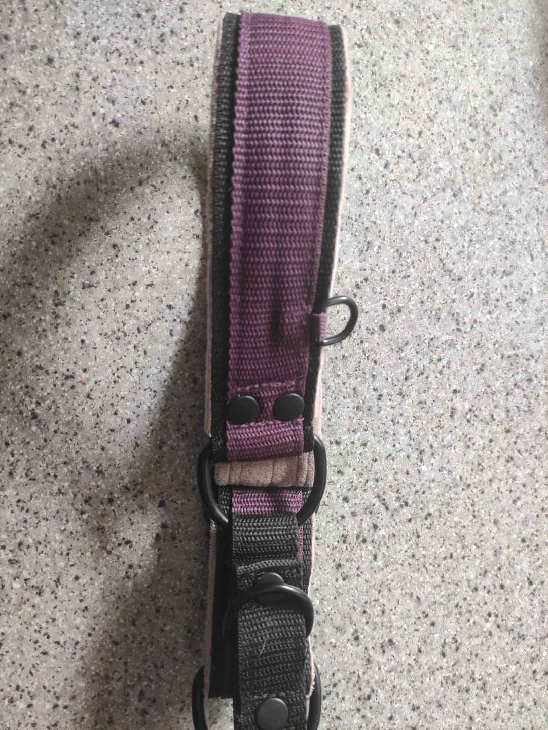 Customer photo review of Martingale Black Edition Plum - Brett fodrat halsband halvstryp