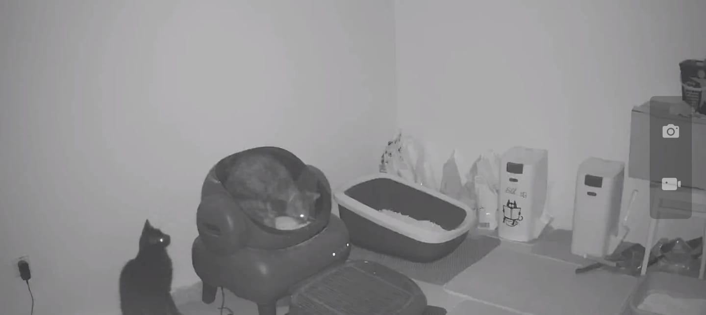 Customer photo review of Neakasa M1 Plus Self-Cleaning Cat Litter Box & P2 Grooming Kit Bundle