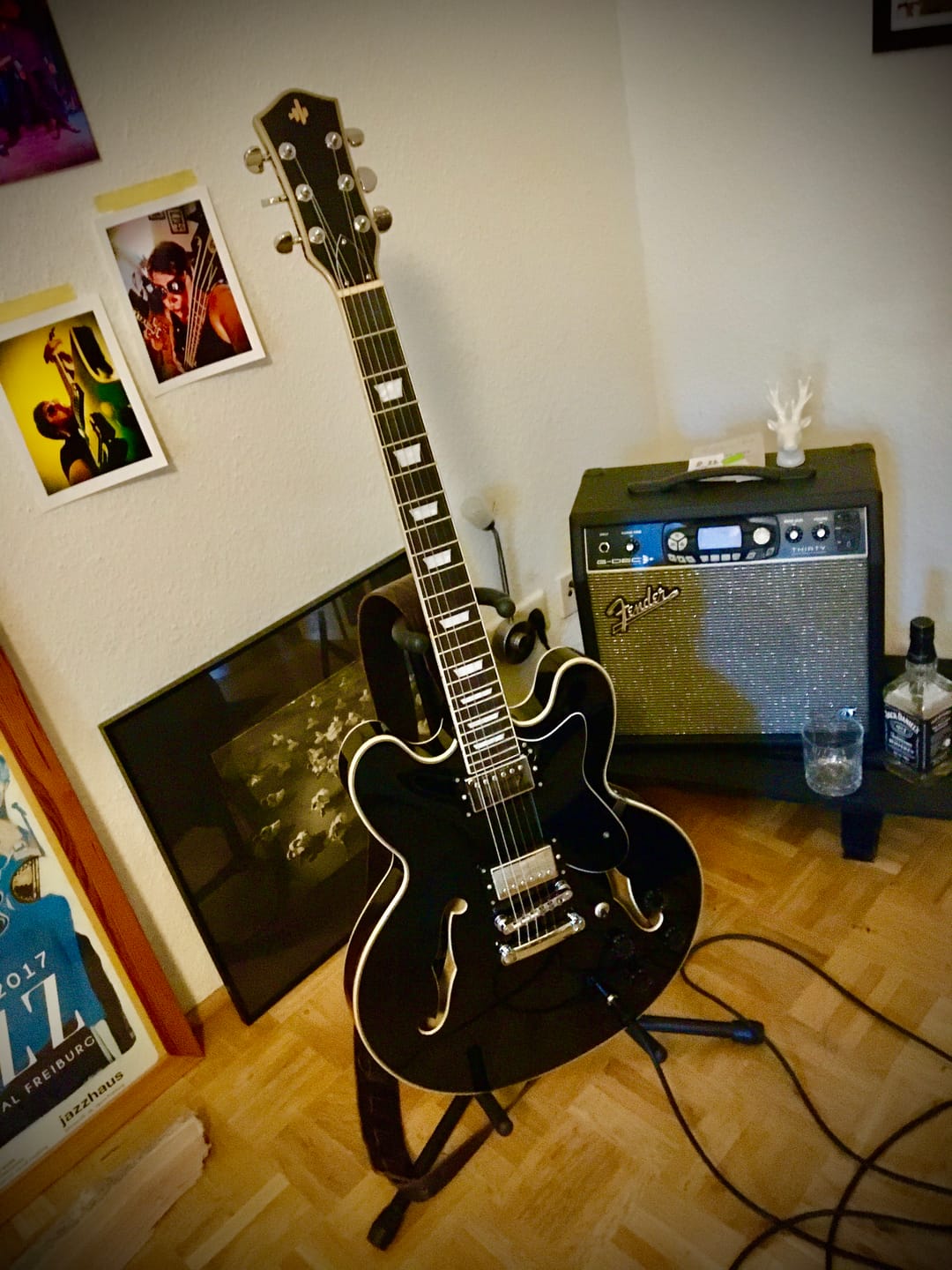 Customer photo review of Donner DJP-1000 Jazz E-Gitarre