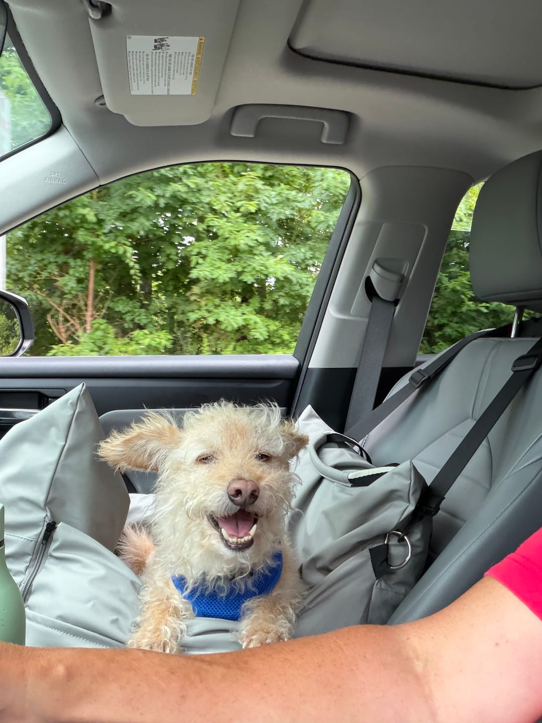 Customer photo review of The Dog Dock V2 New & Improved with LATCH / ISO FIX anchors