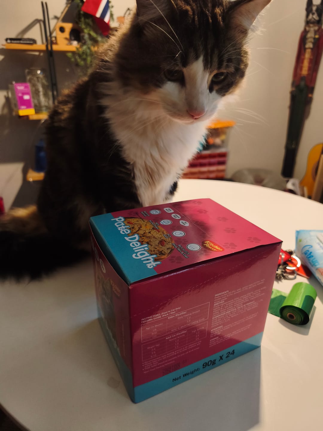 Customer photo review of Pate Delight Salmón para Gatos para todas las etapas | 24 unidades (90g c/u)