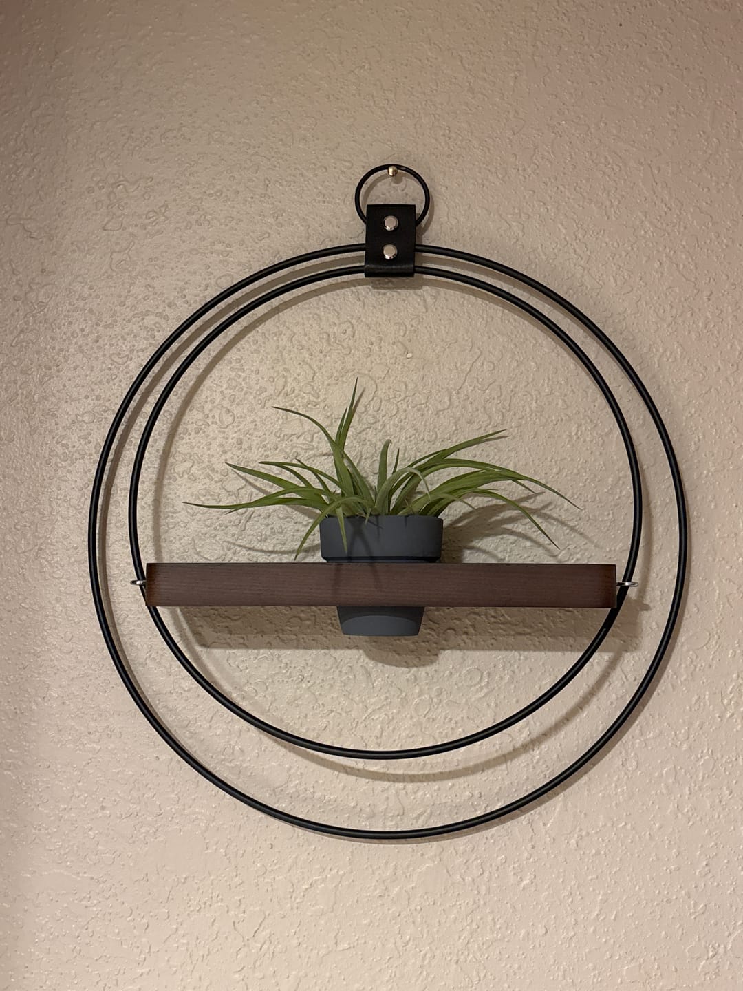 Customer photo review of Air Plant Shelf + Pot