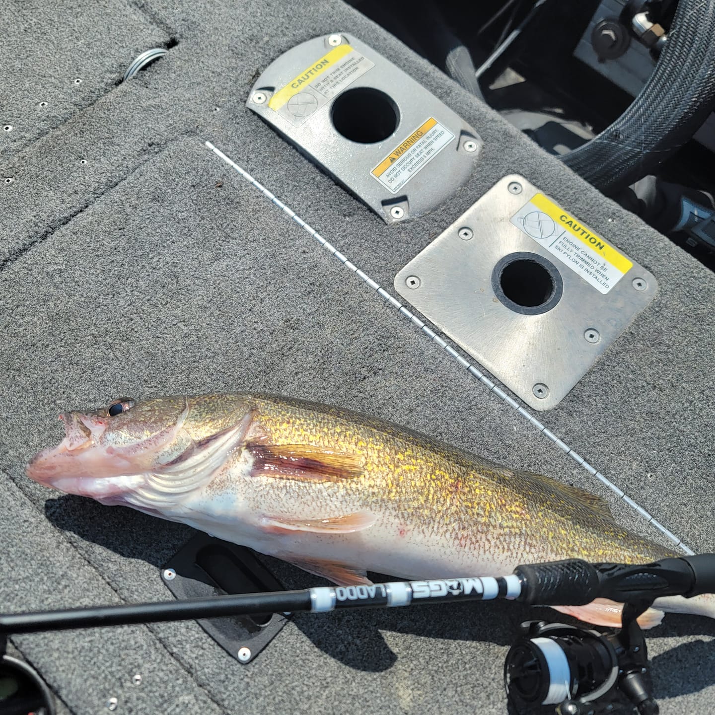 Customer photo review of Custom Spinning Rod