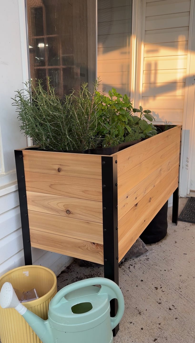 Customer photo review of 18″ x 48″ Deep Root Raised Garden Bed - 30″ TALL - Select Grade