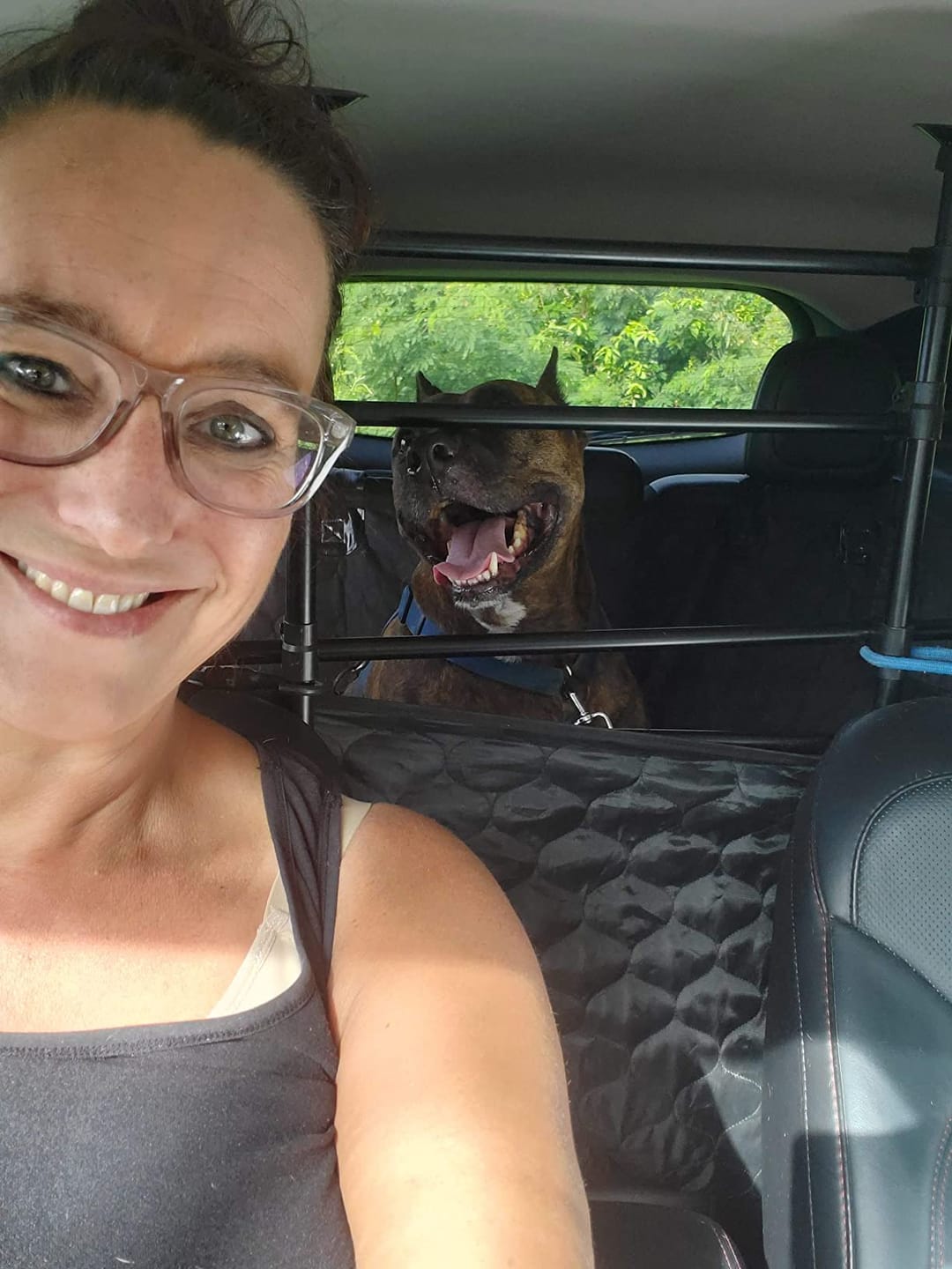 Customer photo review of DOG CAR SEAT COVER