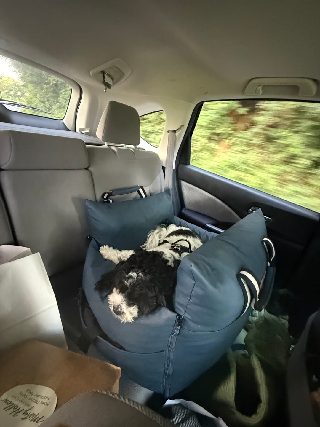 Customer photo review of Dog Dock V2 New & Improved LATCH / ISO FIX