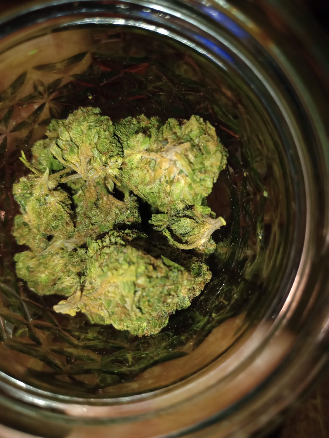 Customer photo review of Gelato Gas Light Assist THCA