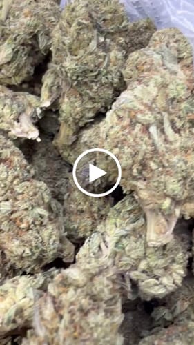 Indoor Exotic Hashburger - Bulk - Indica photo review