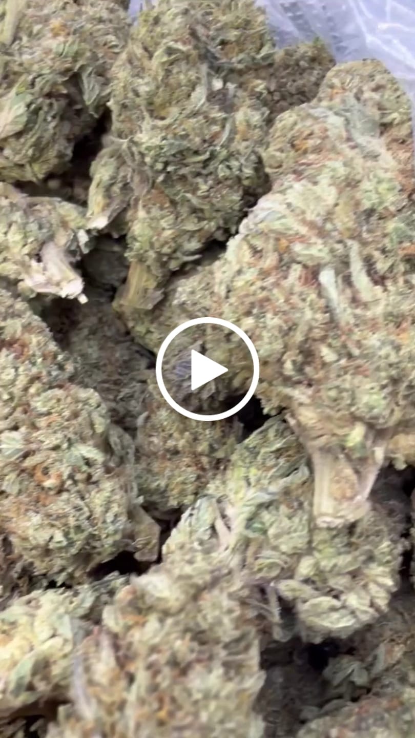 Customer video review of Indoor Exotic Hashburger - Bulk - Indica